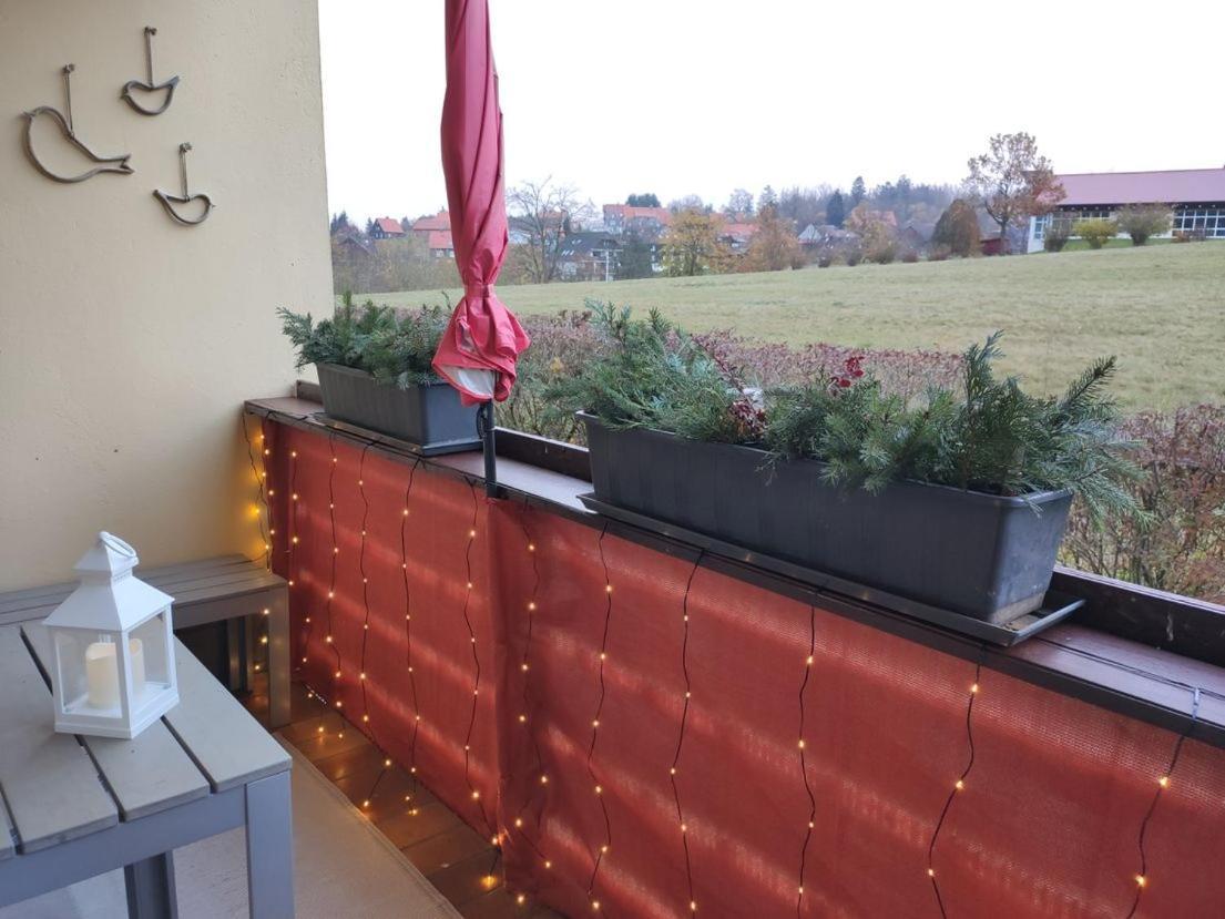 Ferienwohnung Harzluchs Mit Balkon, Netflix Und Sauna Im Haus Hohegeiß Exterior foto