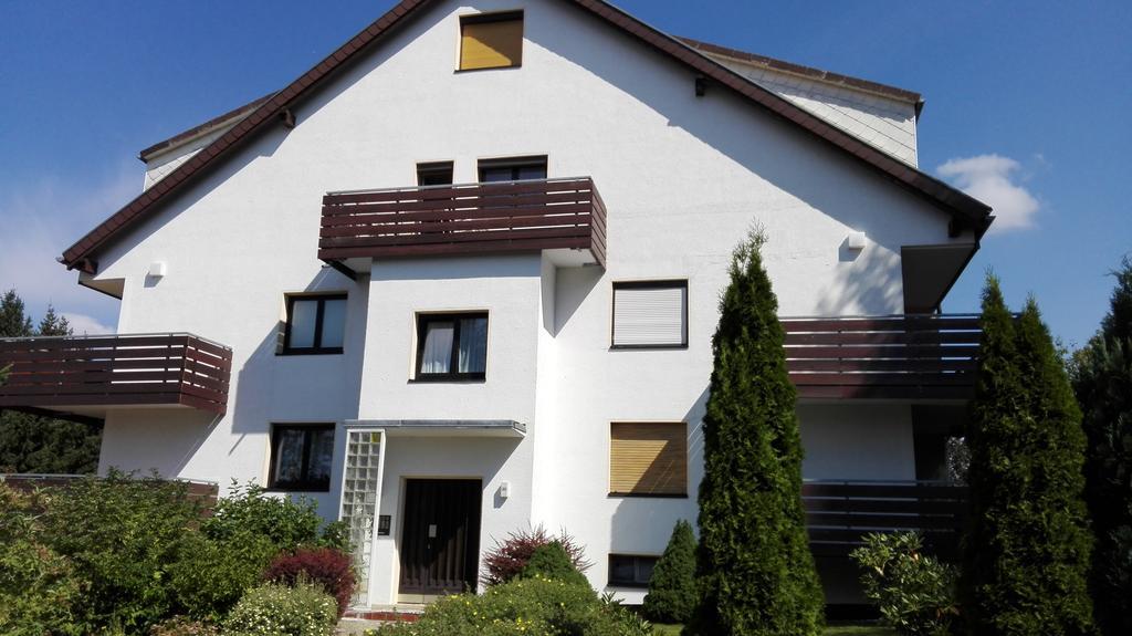 Ferienwohnung Harzluchs Mit Balkon, Netflix Und Sauna Im Haus Hohegeiß Habitación foto