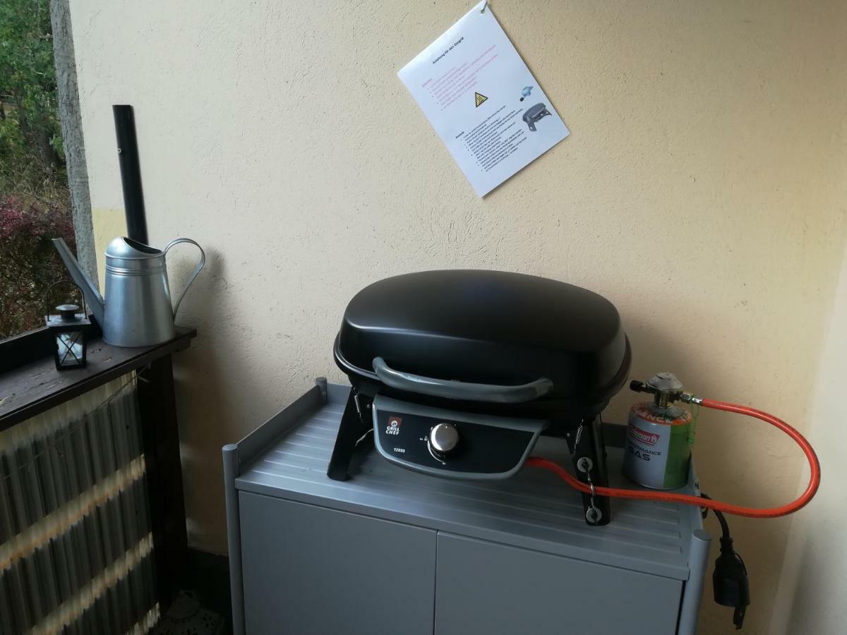 Ferienwohnung Harzluchs Mit Balkon, Netflix Und Sauna Im Haus Hohegeiß Exterior foto